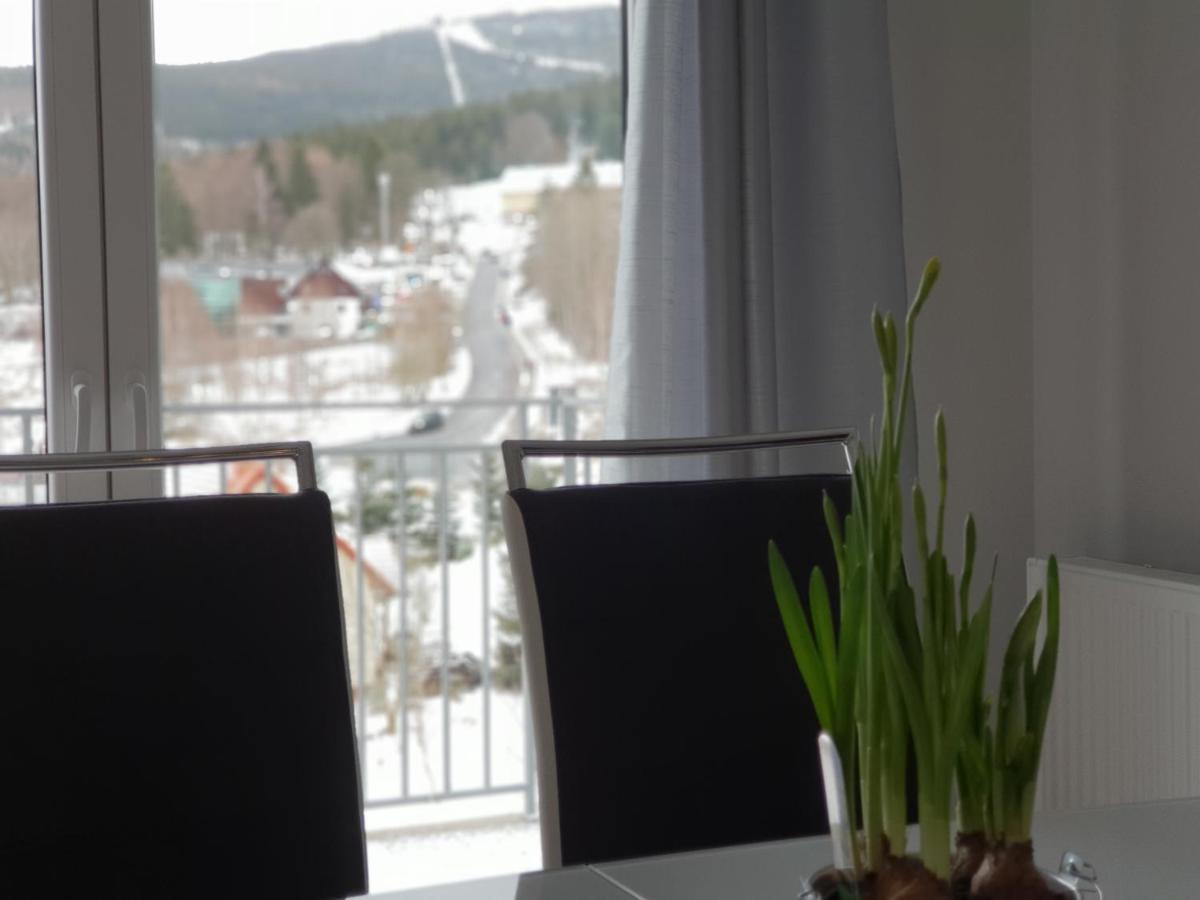 Vera Apartment Swieradow-Zdroj Zakopianska 22 C M10 المظهر الخارجي الصورة